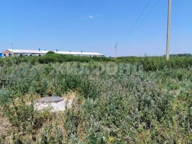 Дом продажа в Новосибирская область