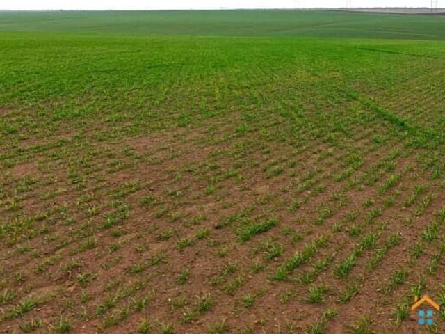 Дом продажа в Ставропольский Край