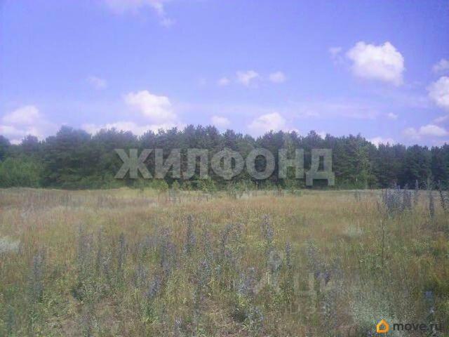 Дом продажа в Новосибирская область