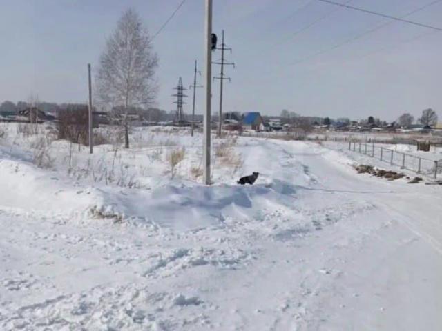 Дом продажа в Новосибирская область