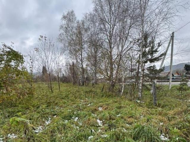 Дом продажа в Соузгинское, Республика Алтай