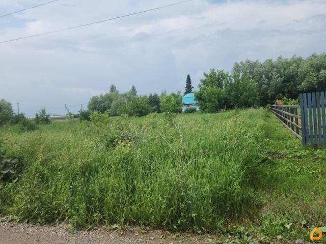 Дом продажа в Алтайский Край