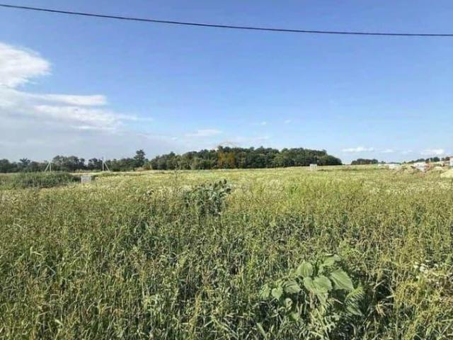 Дом продажа в Белгородская область