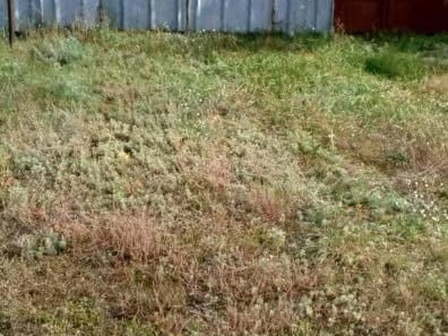 Дом продажа в Воронежская область