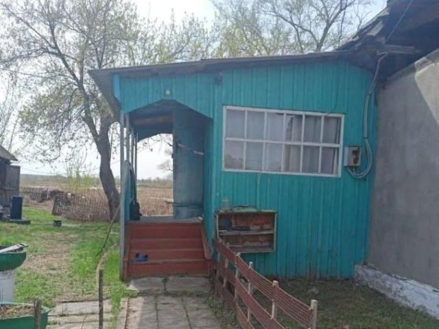 Дом продажа в Алтайский Край