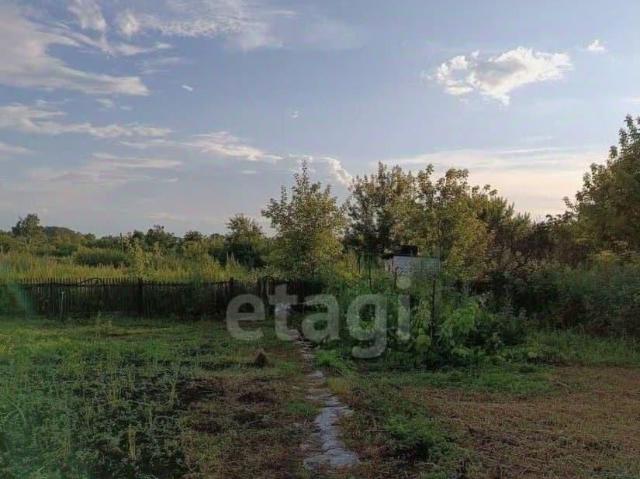 Дом продажа в Алтайский Край