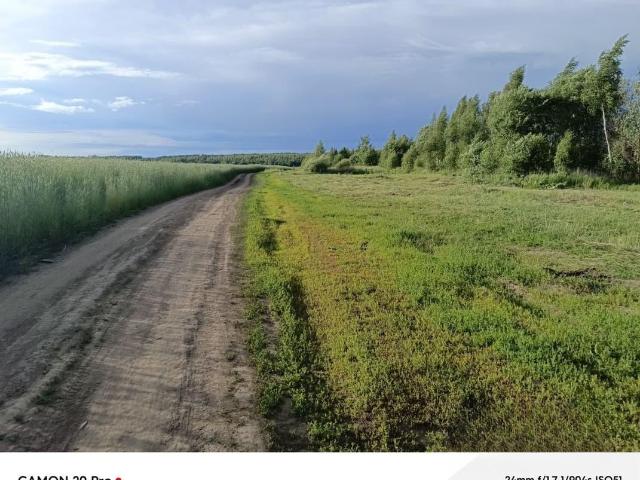 Дом продажа в Толмачево, Брянская область
