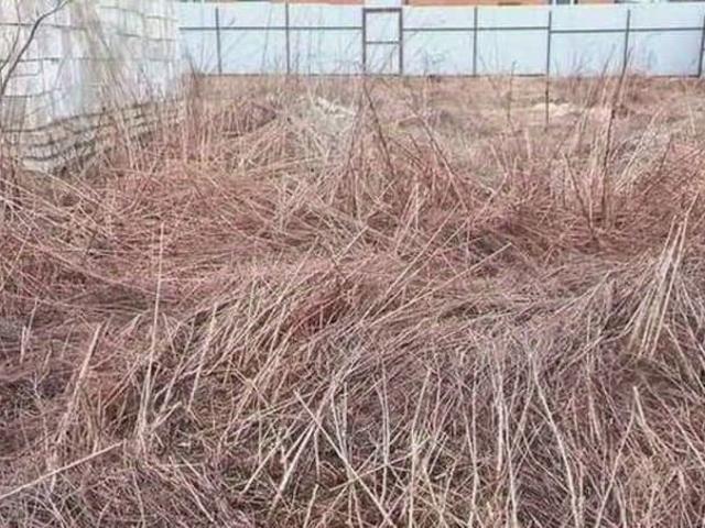 Дом продажа в Толмачево, Брянская область