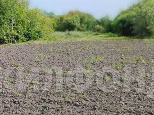 Дом продажа в Амурская область