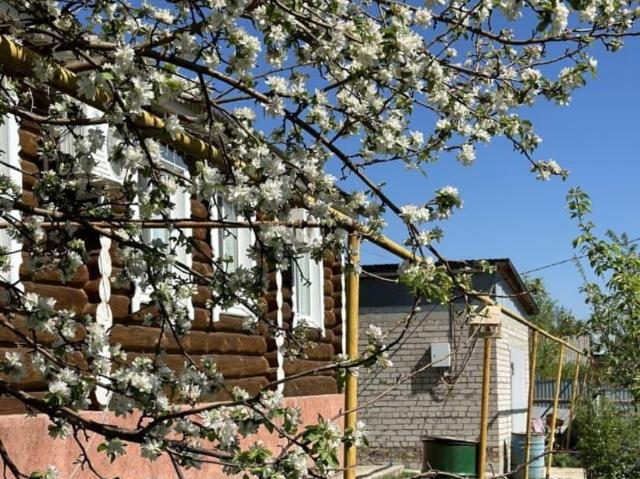 Дом продажа в Самарская область
