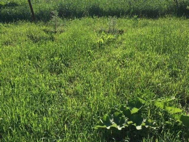 Дом продажа в Жуково, Уфимский район