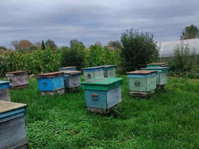 Дом продажа в Алтайский Край
