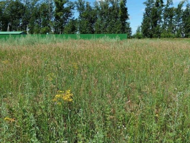 Дом продажа в Омская область