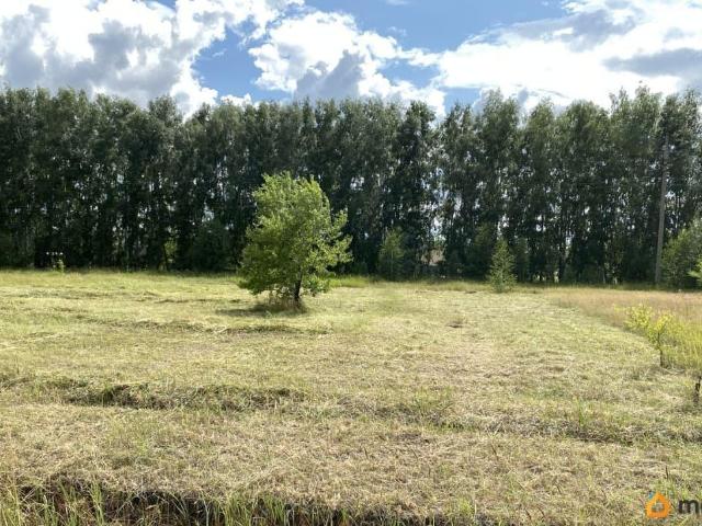 Дом продажа в Омская область