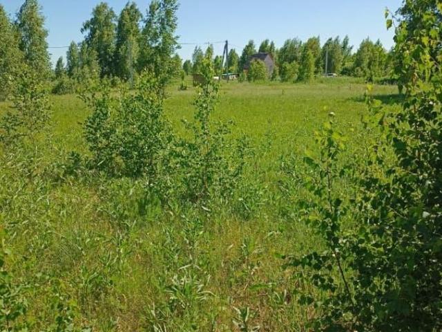 Дом продажа в Верх-Тула, Новосибирская область