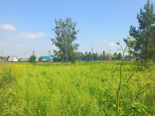 Дом продажа в Верх-Тула, Новосибирская область