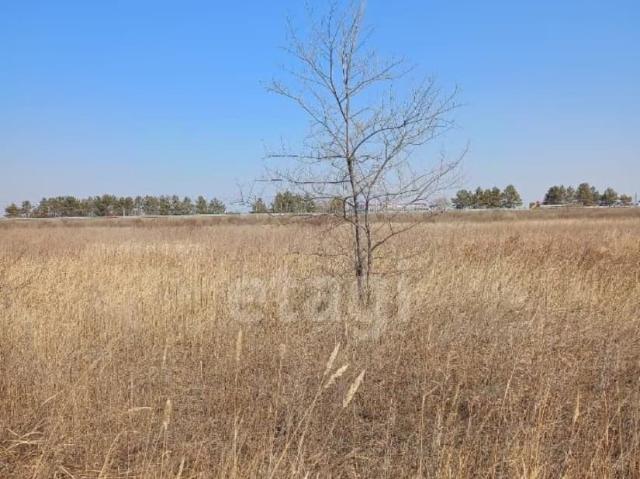 Дом продажа в Верхнеблаговещенское С, Амурская область