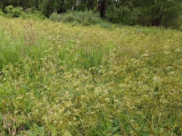 Дом продажа в Татарстан Республика