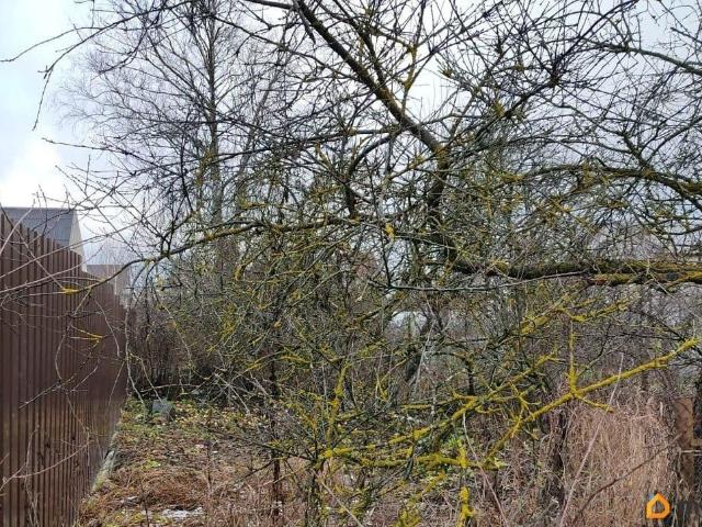 Дом продажа в Ленинградская область