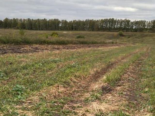 Дом продажа в Рязанская область