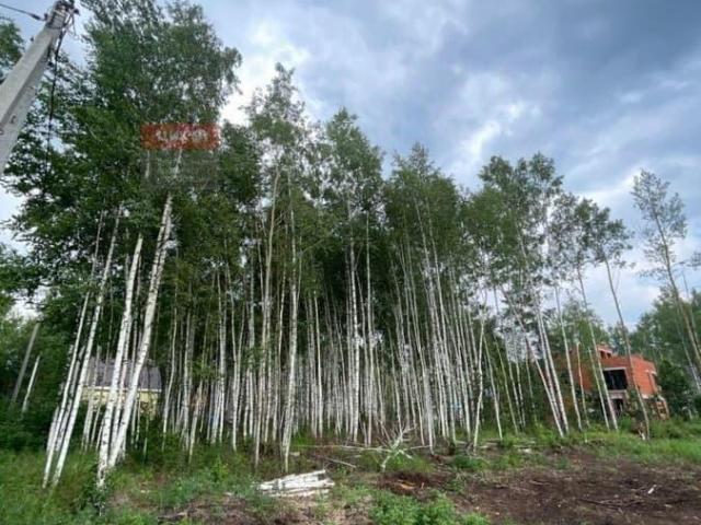 Дом продажа в Заборье, Рязанская область