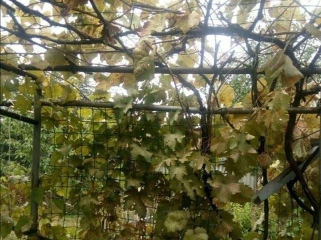 Дом продажа в Семикаракорский Р-н, Ростовская область
