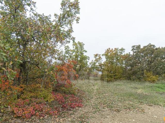 Дом продажа в Севастополь