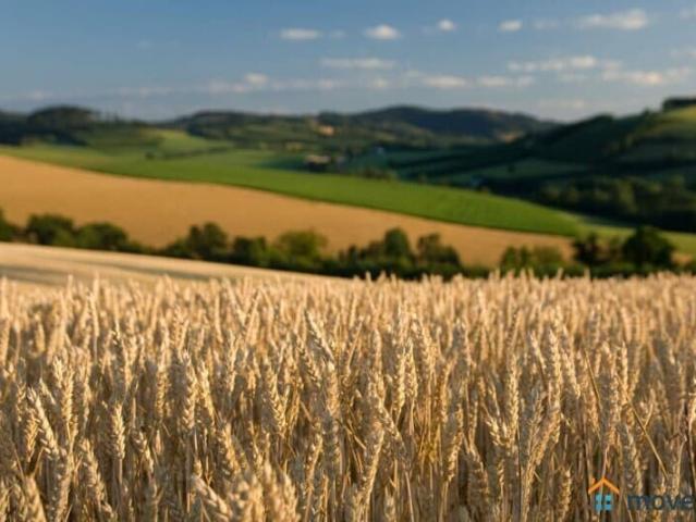 Дом продажа в Октябрьское