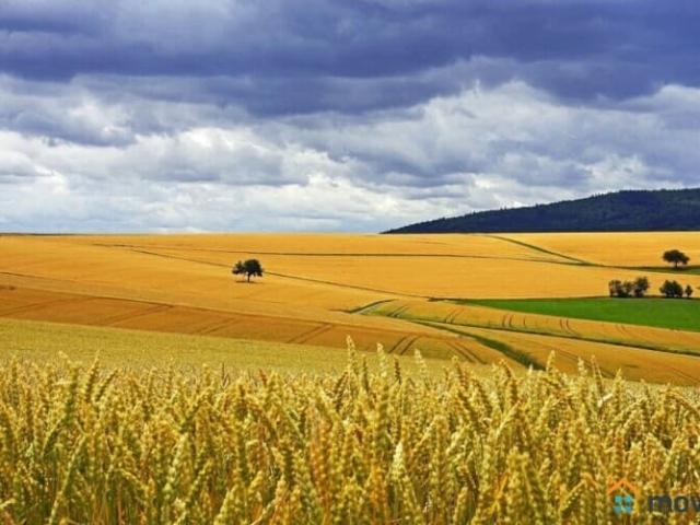 Дом продажа в Октябрьское