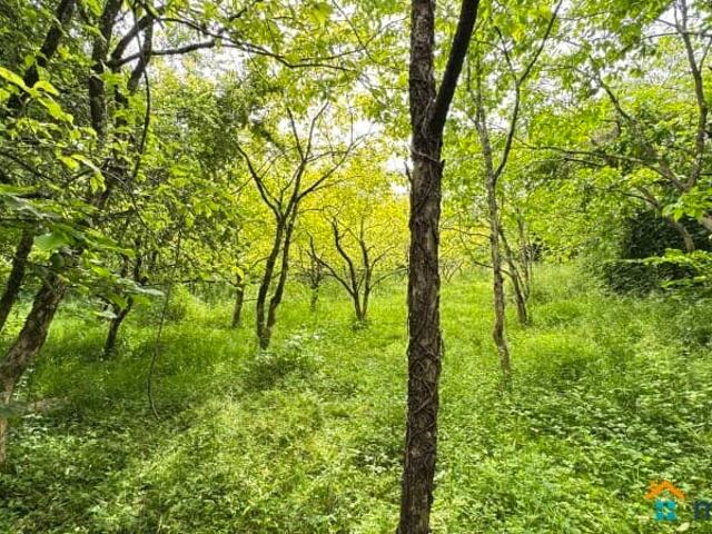 Дом продажа в Богушевка С, Краснодарский Край