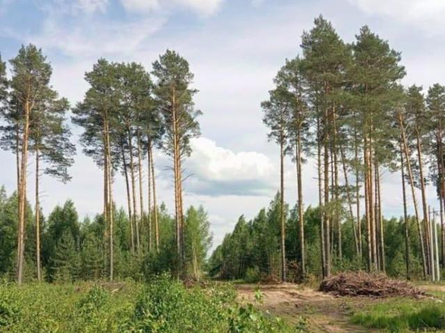 Дом продажа в Собинка, Владимирская область