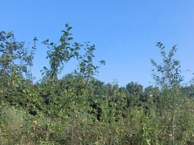 Дом продажа в Азовская Ст-ца, Краснодарский Край