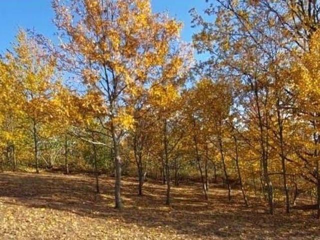 Дом продажа в Азовская Ст-ца, Краснодарский Край