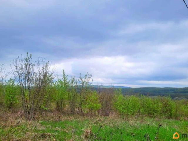 Дом продажа в Азовская Ст-ца, Краснодарский Край