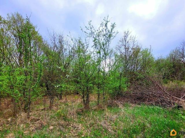 Дом продажа в Азовская Ст-ца, Краснодарский Край