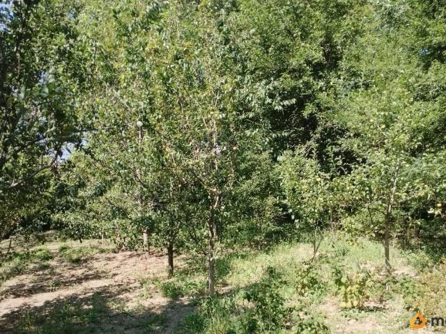 Дом продажа в Боргустанская Ст-ца, Ставропольский Край