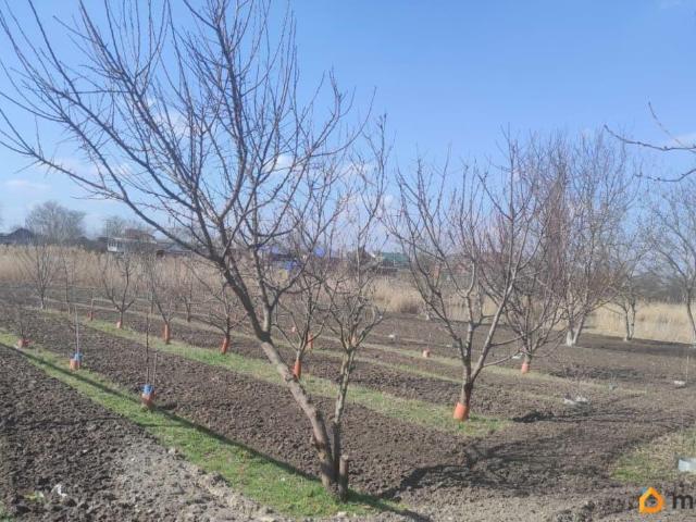 Дом продажа в Бородинская Ст-ца, Краснодарский Край