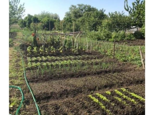 Дом продажа в Бородинская Ст-ца, Краснодарский Край
