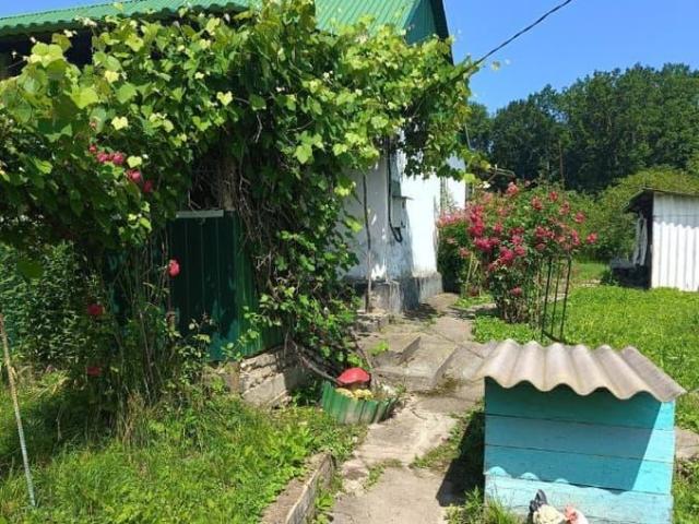 Дом продажа в Краснодарский Край