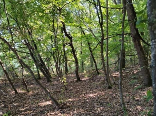 Дом продажа в Краснодарский Край