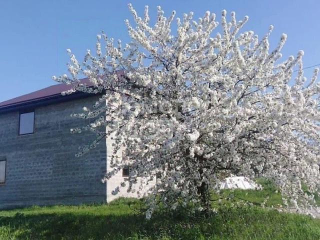 Дом продажа в Гостагаевская Ст-ца, Краснодарский Край