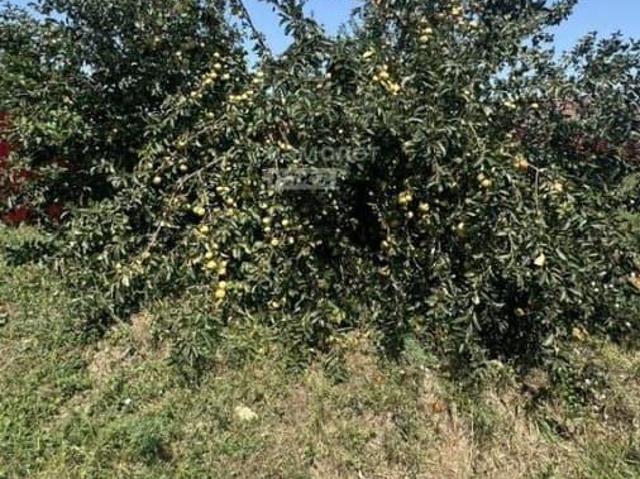Дом продажа в Гостагаевская Ст-ца, Краснодарский Край