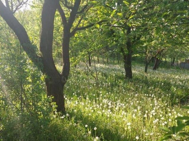 Дом продажа в Гостагаевская Ст-ца, Краснодарский Край