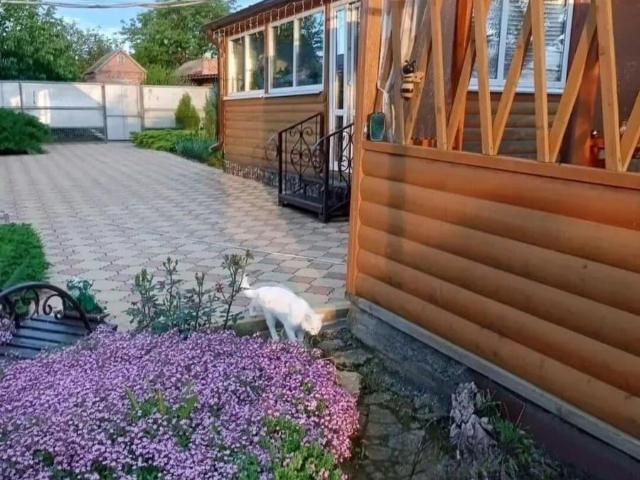 Дом продажа в Кагальницкая Ст-ца, Ростовская область