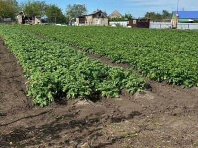 Дом продажа в Калининская, Калининский район