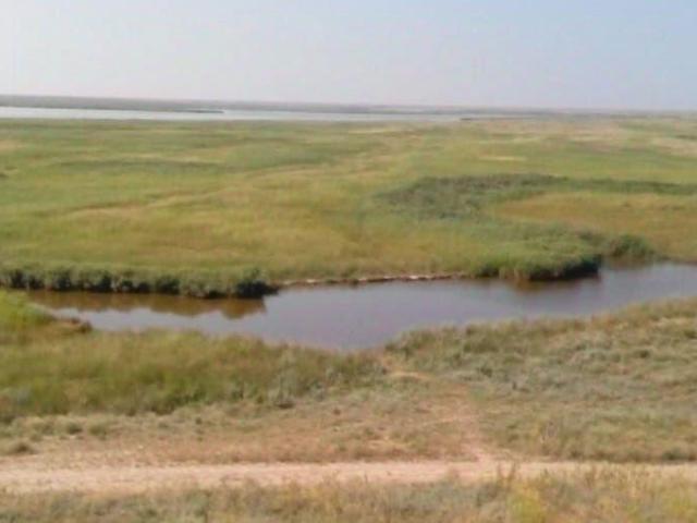 Дом продажа в Камышеватская Ст-ца, Краснодарский Край