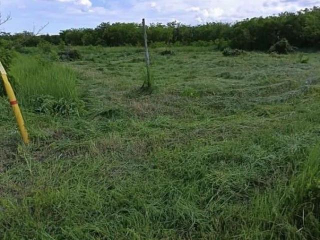 Дом продажа в Каневская Ст-ца, Краснодарский Край