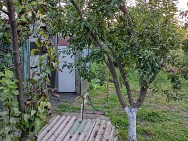 Дом продажа в Каневская Ст-ца, Краснодарский Край