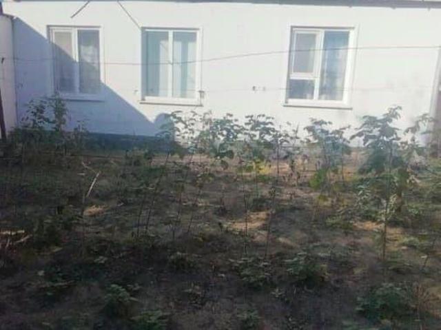 Дом продажа в Курчанская Ст-ца, Краснодарский Край