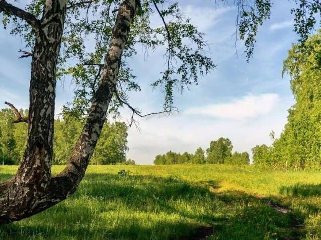 Дом продажа в Приморский район, городской округ Новороссийск